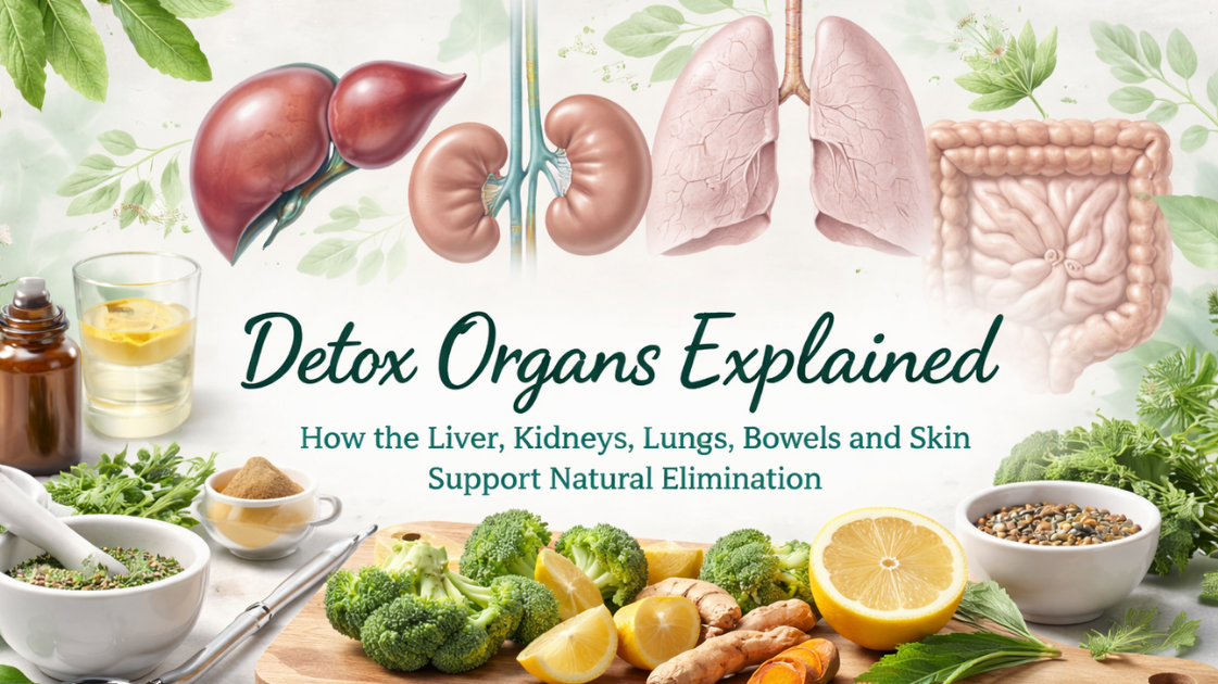 Detoxification Organs: A Comprehensive Guide