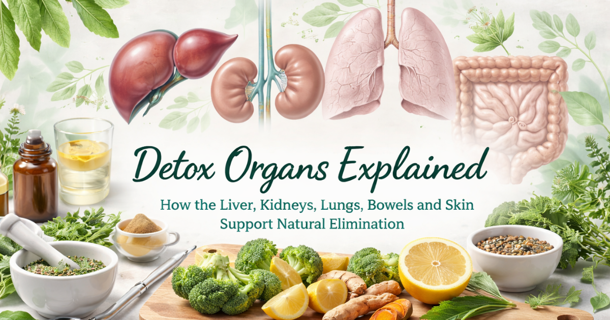 Detoxification Organs: A Comprehensive Guide