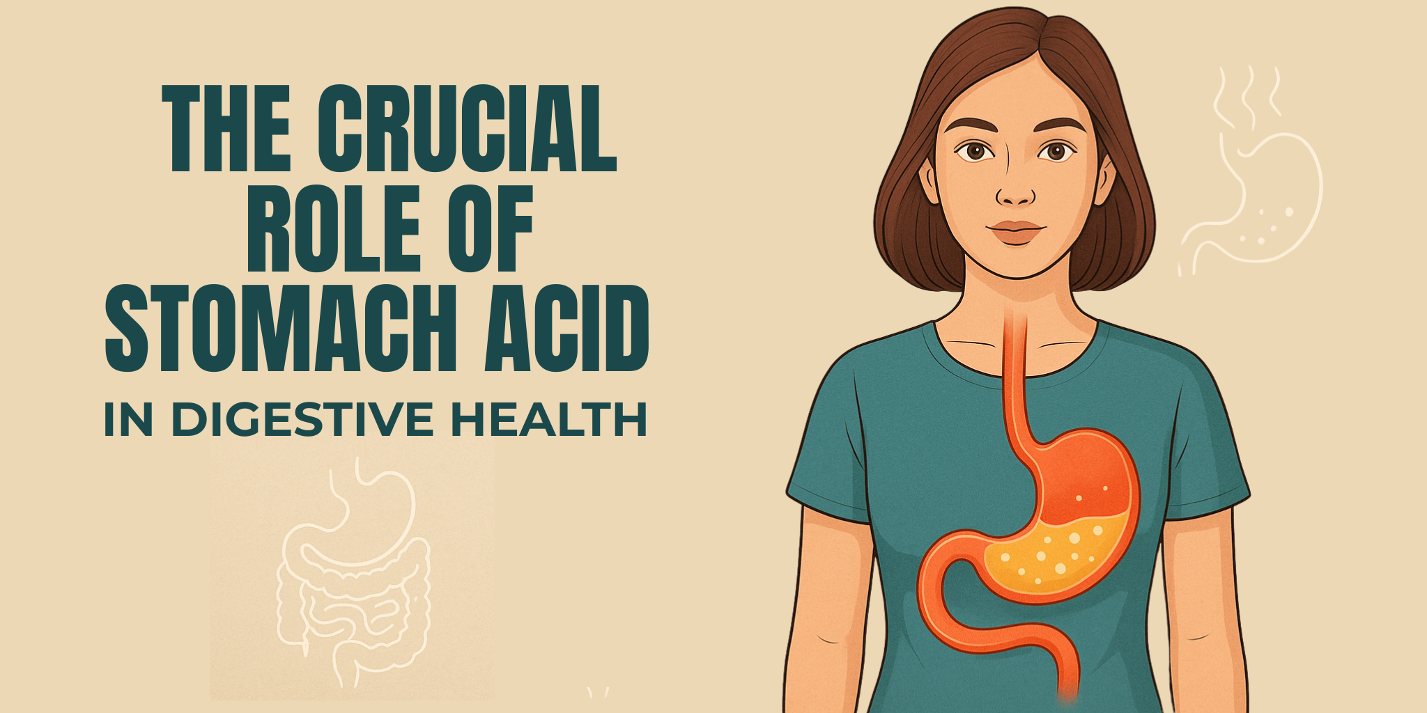 The Crucial Role of Stomach Acid in Digestive Health