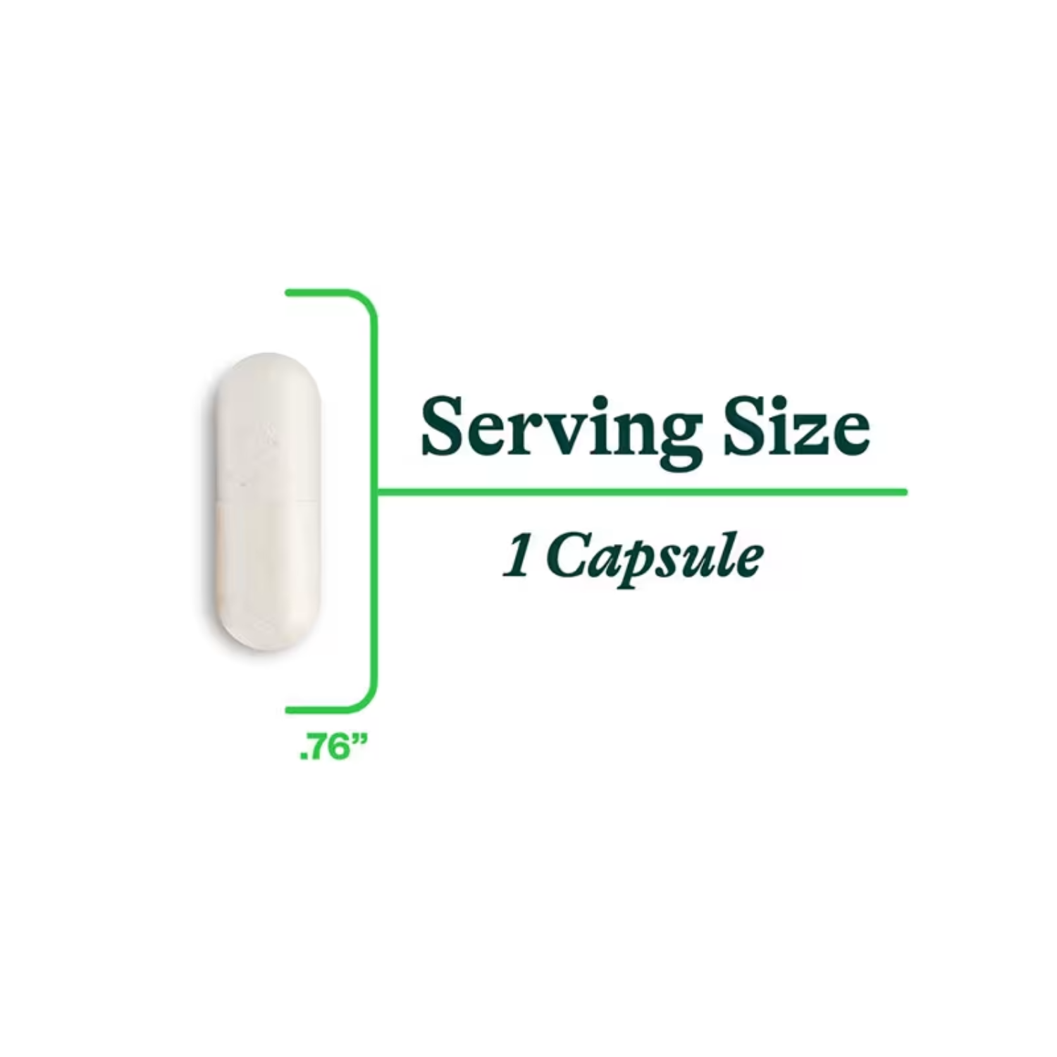 DAO Enzyme Capsules