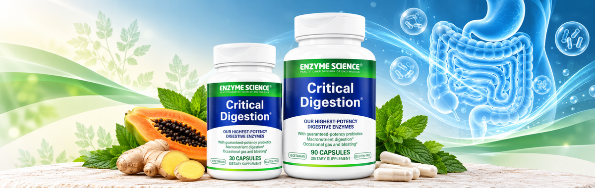 Critical Digestion 90 Capsules
