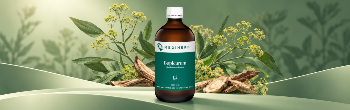 Bupleurum 1:2 500ml