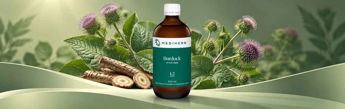 Burdock 1:2 500ml