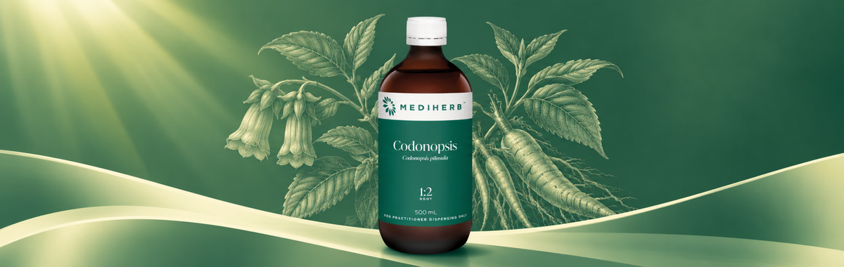 Codonopsis 1:2 500ml
