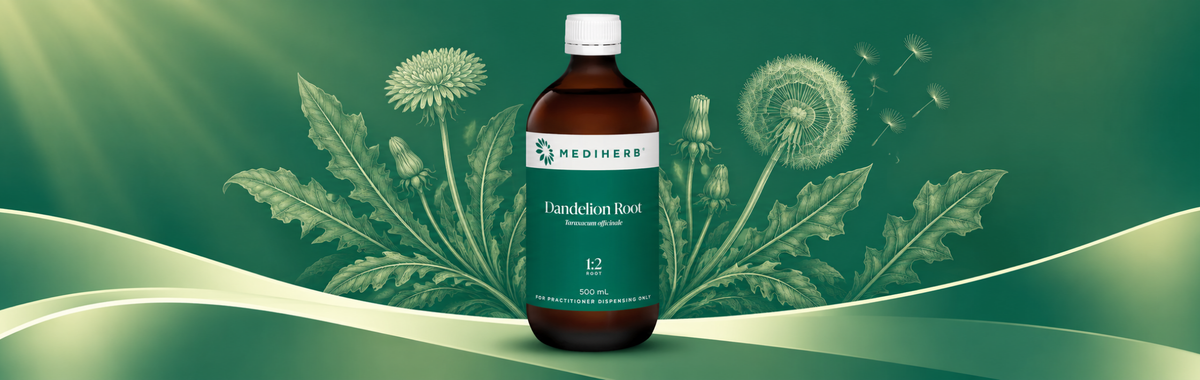 Dandelion Root 1:2 500ml