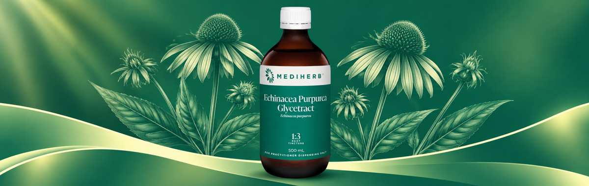 Echinacea Purpurea 1:3 Glycetract 500ml