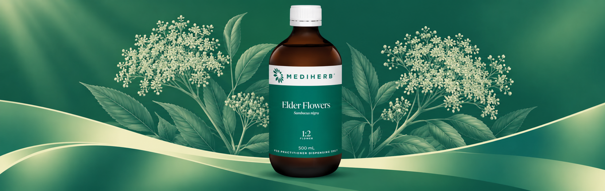 Elder Flowers 1:2 500ml