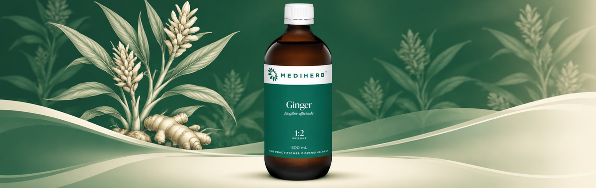 Ginger 1:2 500ml