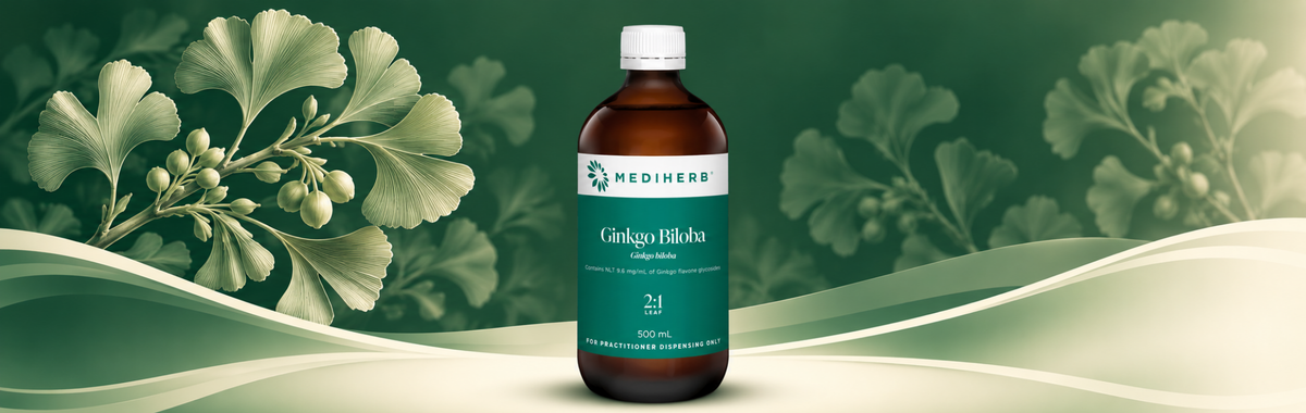 Ginkgo 2:1 500ml