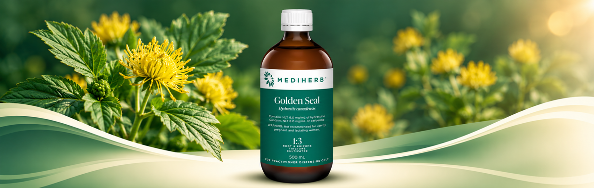 Golden Seal 1:3 500ml (cultivated)