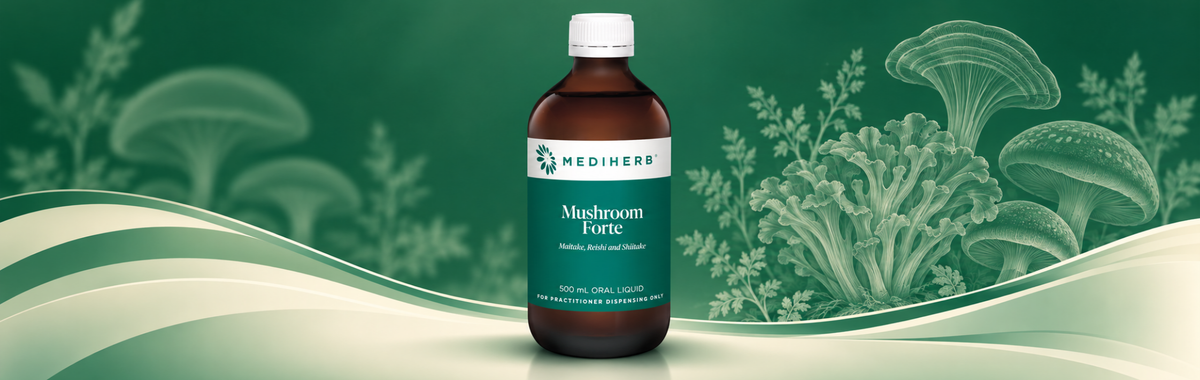 Mushroom Forte Liquid 500ml