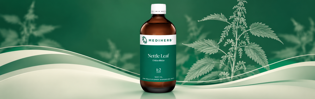 Nettle Leaf 1:2 500ml
