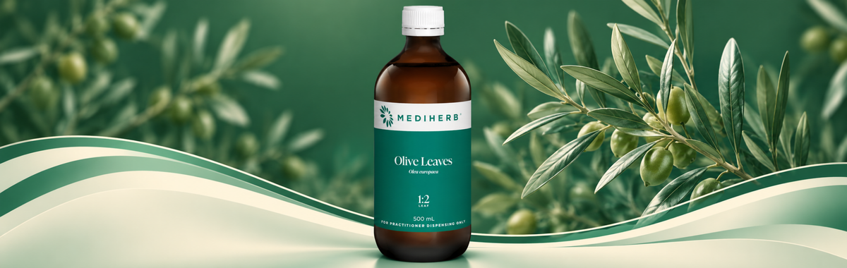 Olive Leaves 1:2 500ml
