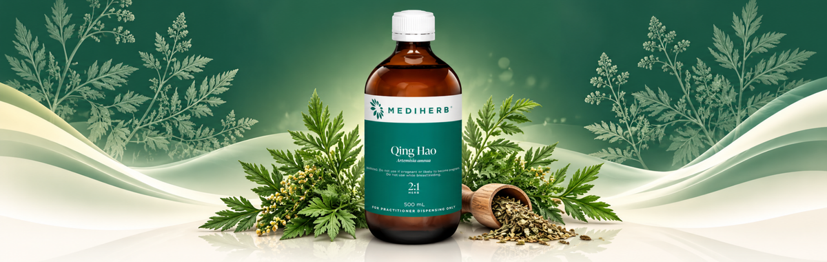 Qing Hao (Sweet Wormwood)