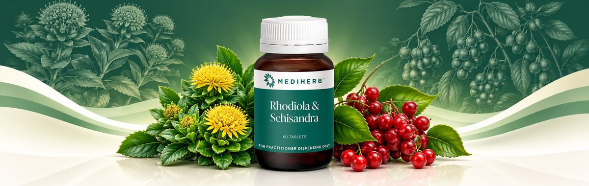 Rhodiola & Schisandra 60t