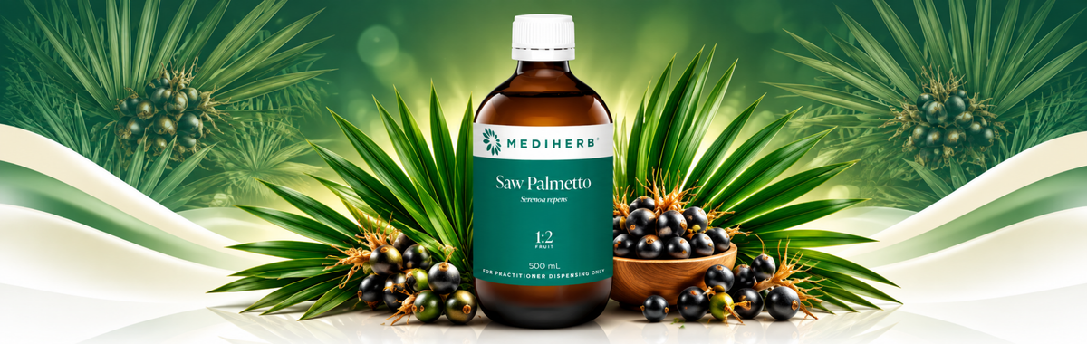 Saw Palmetto 1:2 500ml