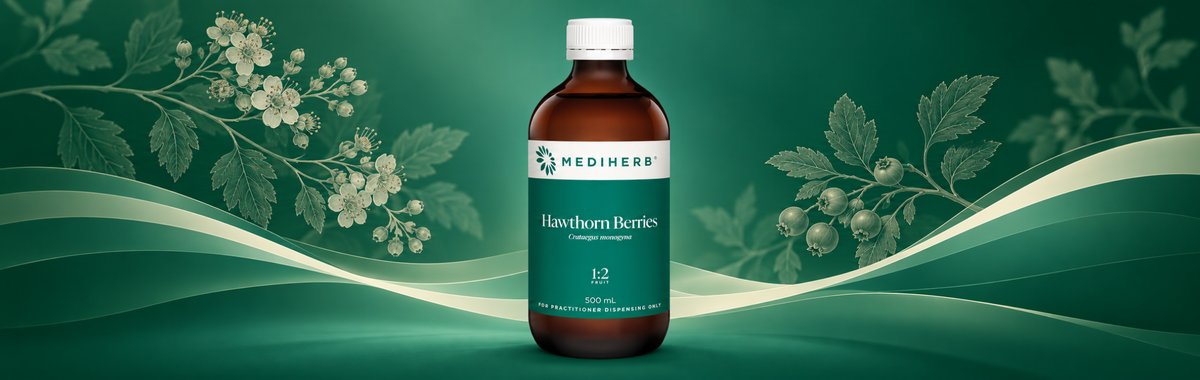 Hawthorn Berries 1:2 500ml
