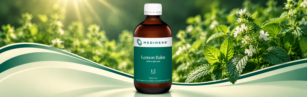 Lemon Balm 1:2 500ml