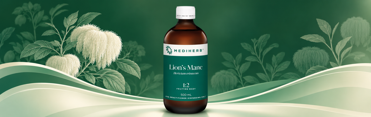 Lion's Mane 1:2 500ml