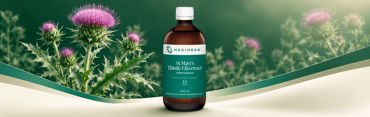 St Mary's Thistle 1:1 Glycetract 500ml