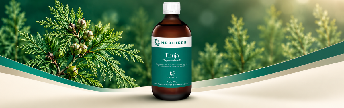 Thuja 1:5 500ml