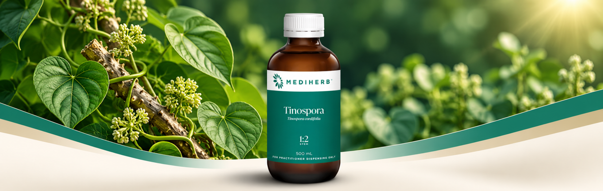 Tinospora 1:2 Liquid 500ml