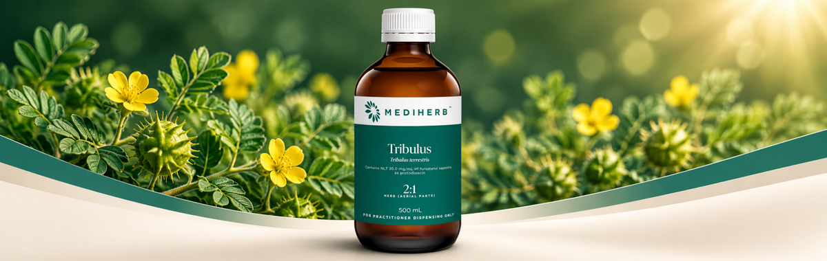 Tribulus 2:1 500ml