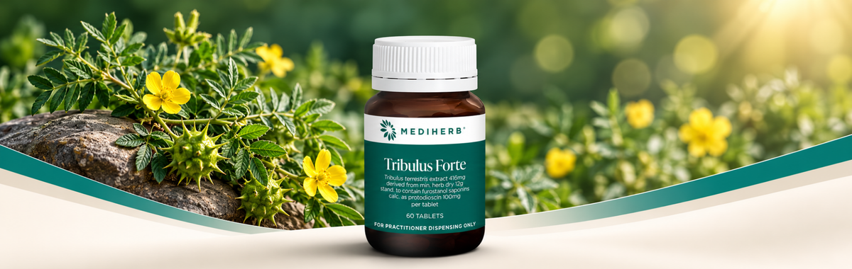 Tribulus Forte 60 Tablets