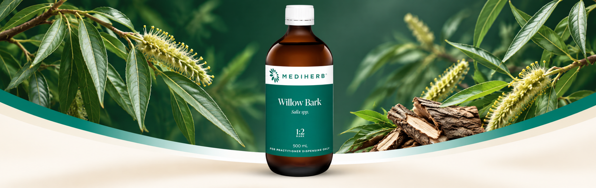 Willow Bark 1:2 500ml