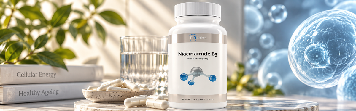 Niacinamide B3 120 Capsules